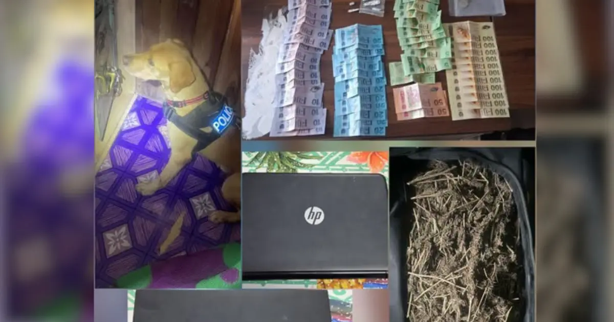 Police K9 unit members and seized items including cash, suspected marijuana and two laptops following separate operations in Pacific Harbour, Qauia and Vunidawa.