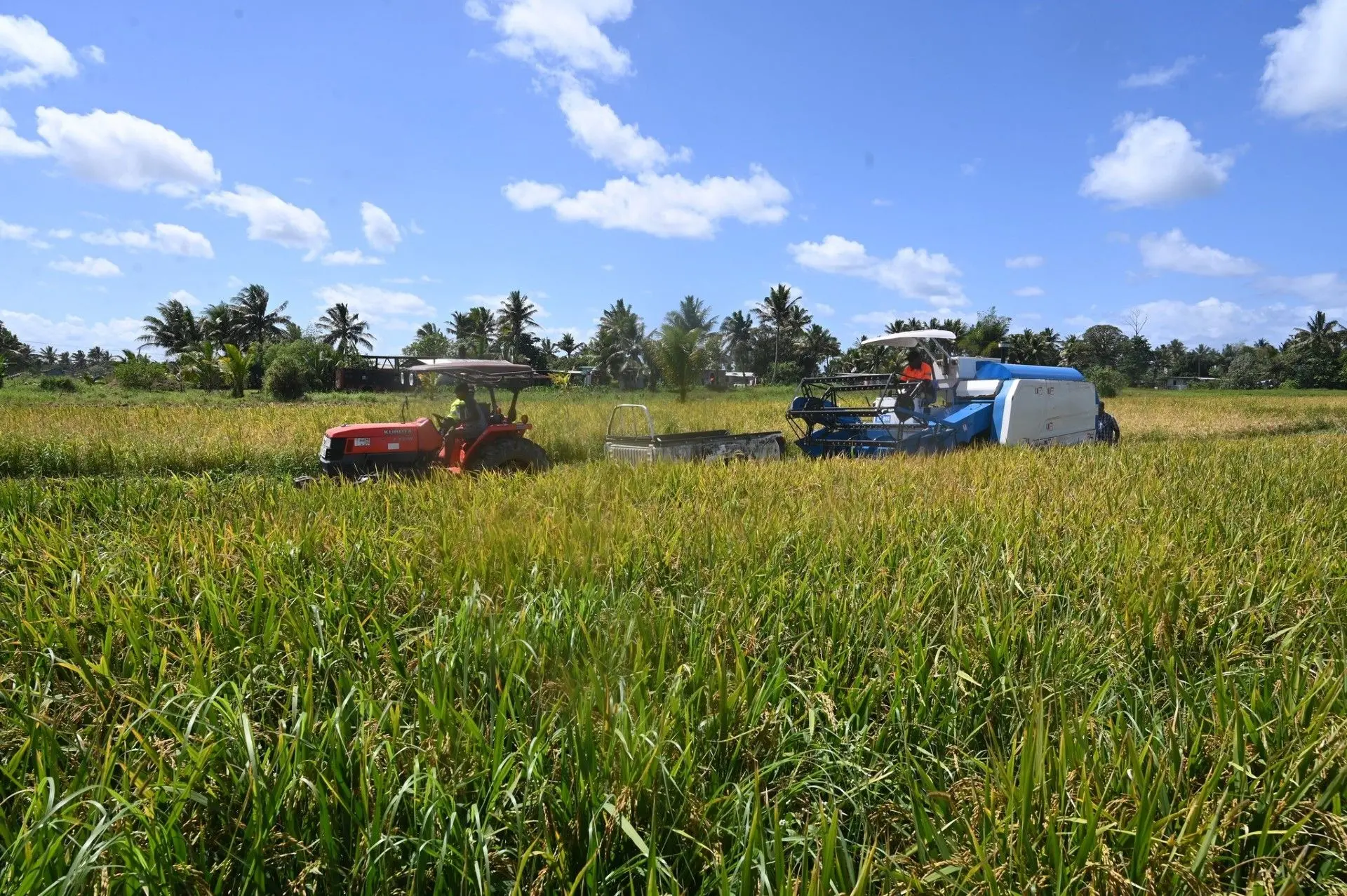'Fiji must boost rice production to protect food security'