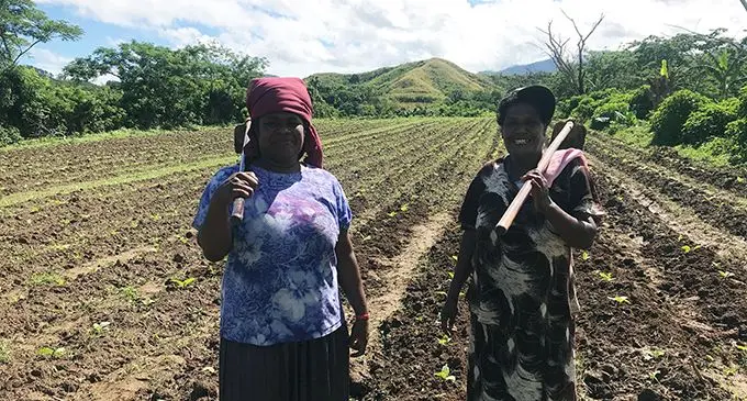 Mere Tura (left) at her farm at farm at Vunarewa in the Sigatoka Valley, With her is fellow tobacco farmer Taina Waqadrau on June 3, 2020.  Photo: Charles Chambers