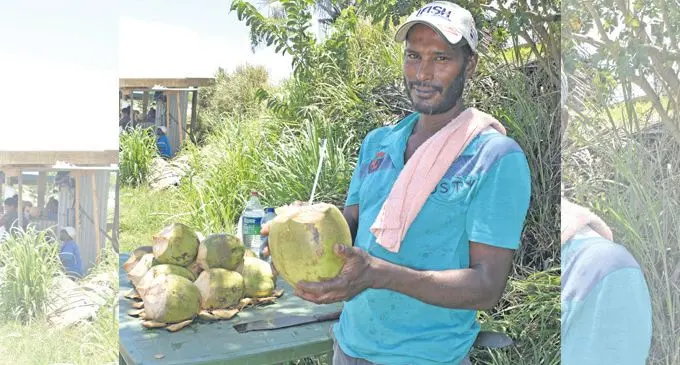 Paras Ram selling coconuts at the roadside at Nadi backroad.  Photo: Mereleki Nai