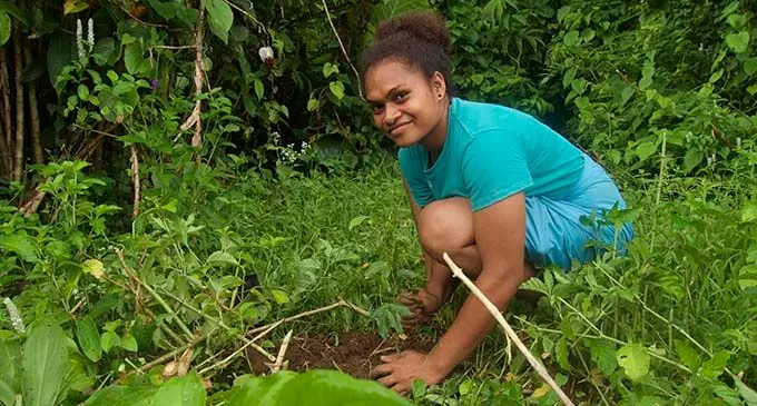 Bua Lomanikoro village youth Raijieli Naivakari plants a vesi tree in Nasolo, Bua. after their workshop.