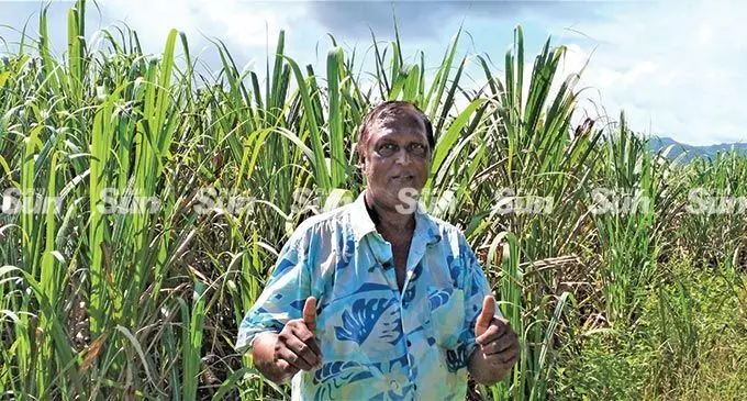 Sarat Chand, 60, at his sugarcane farm at Drasa, Lautoka. Photo: Salote Qalubau