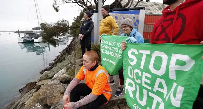 Greenpeace activists at Port Nelson to protest bottom trawling