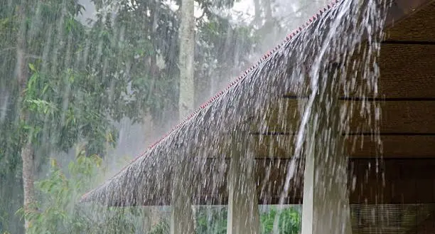 Heavy Rain