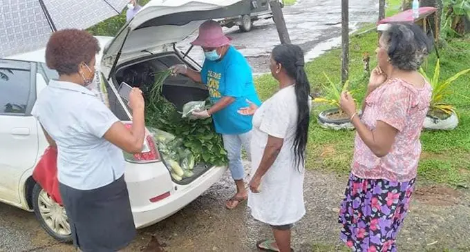Katarina Baleisuva distributes vegetables to families in Wainibuku and Nakasi HARTs.