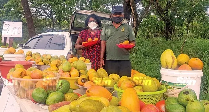 Ba couple, Shiu Datt and Pravina Kumari sell mangoes along the Lomolomo stretch in Lautoka  on November 4, 2021. Photo: Nicolette Chambers