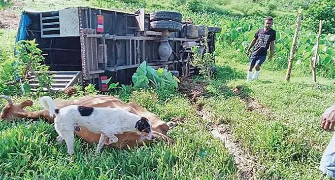 The accident scene at in Navuniyasi, Naitasiri on November 18, 2024.