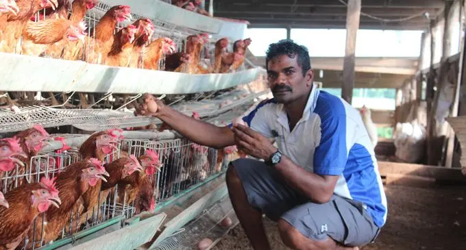 Ashok Kumar at his poultry farm in Nabekavu, Labasa, on February 15, 2018. Photo: Wati Talebula