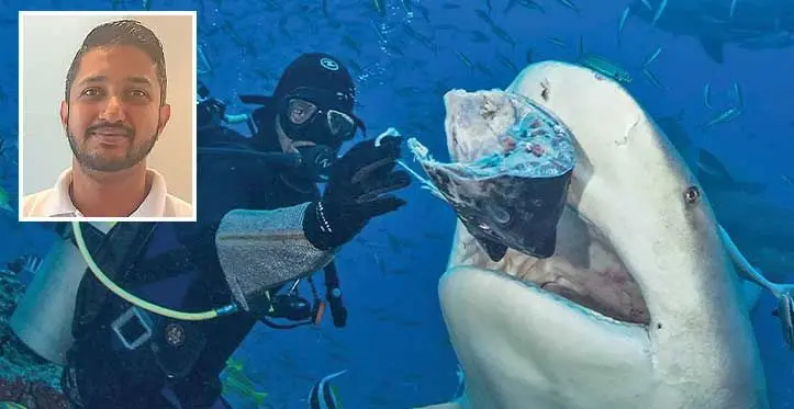 One item on Sheron Kumar’s bucket-list is to swim with bull sharks. Photo: Beqa Adventure Divers/ Inset: Tanoa Dateline Tonga operations manager Sheron Kumar. Photo: Maraia Vula