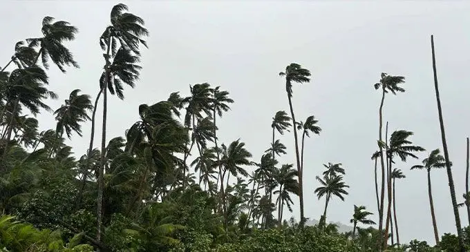 Strong winds in Taveuni. Photo: Nanise Berabi