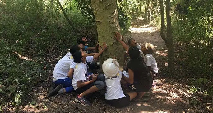 Students of the National Park’s Heritage In Young Hands program learning about the importance of Forest.