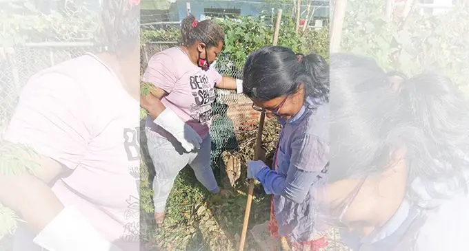 Temalesi Dauvucu (left) helps out a widow, Ms Sushil Prasad in cleaning up at her compound in preparation for Diwali. Photo: Mereleki Nai