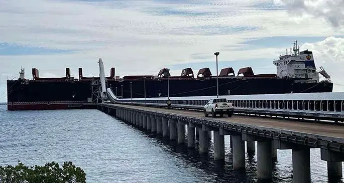 Biggest wood chip vessel, Mater, berthed at Tropik Wood Industries Limited’s Wairiki Chip Mill at Nabouwalu in Bua, on March 12, 2021.