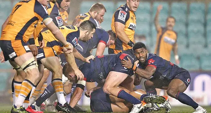 Drua product and halfback Frank Lomani now plays for Melbourne Rebels in the Super Rugby AU competition. Photo: Melbourne Rebels