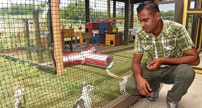 Janend Ram at the Pacific Animal Shelter and Hospital (Fiji), known as PASH, a Fiji registered Charity located in Legalega, Nadi. Photo: Waisea Nasokia