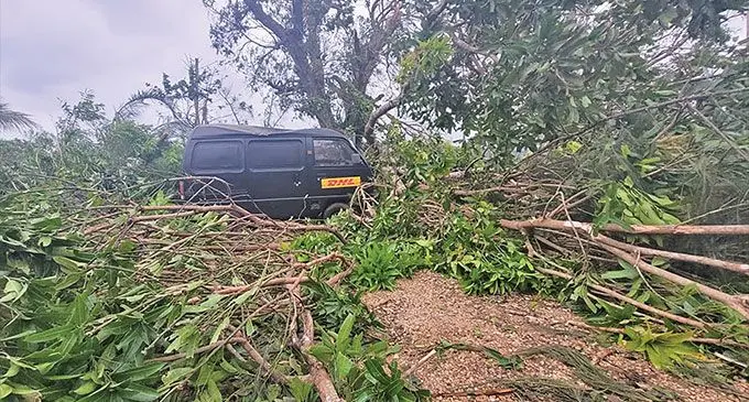  Port Vila Based Journalist Dan McGarry has a big clean up on his hands, this mess is at the end of his lanewa. Photo: RNZ 