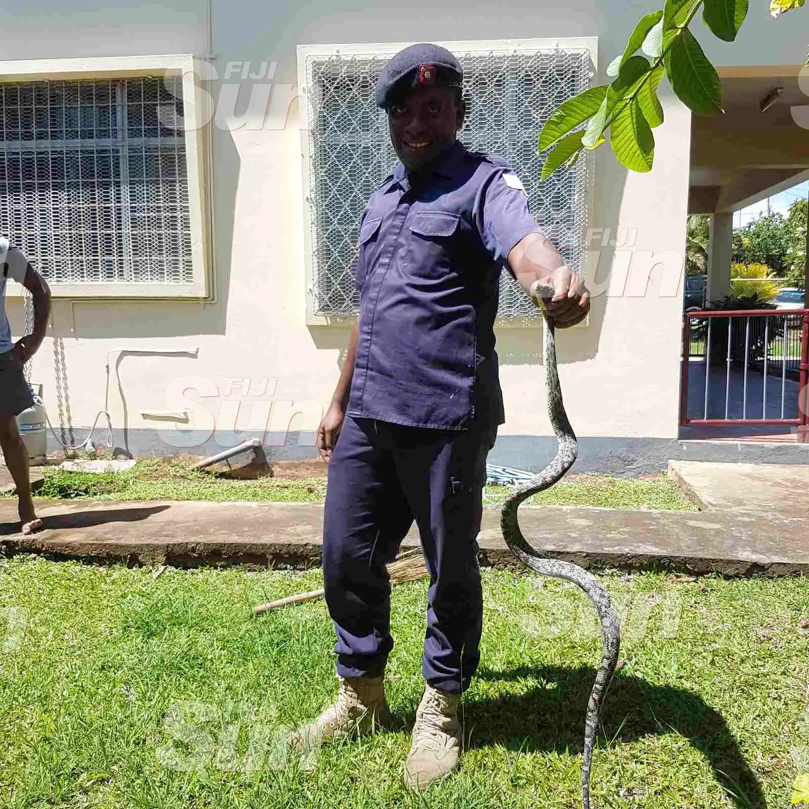 A Police officer holding the snake which was spotted at a home in Simla, Lautoka on October 20, 2019. Photo: Nicolette Chambers