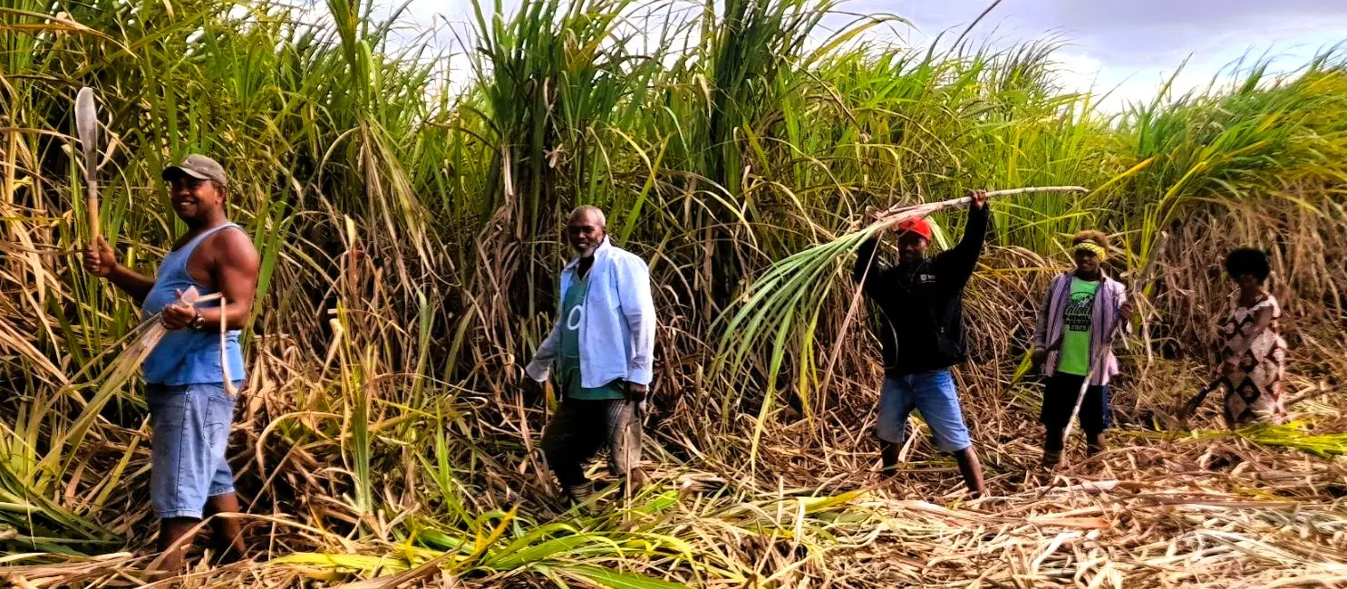 North, sugarcane farmers, MOGA, Government 