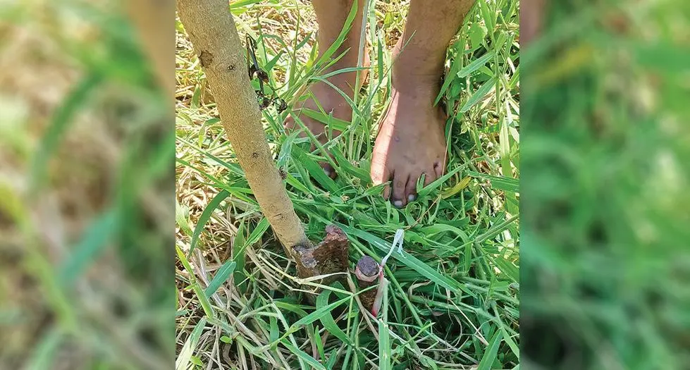 A services technical carrying out illegal surverying of a property in Suva. 