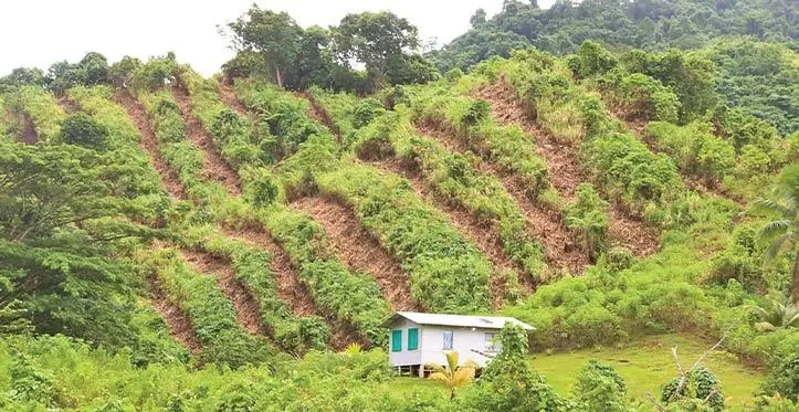 360 hectares of land has been allocated by Naiyarabale Village landowners in Cakaudrove as part of the Ministry of Forestry’s reforestation project.