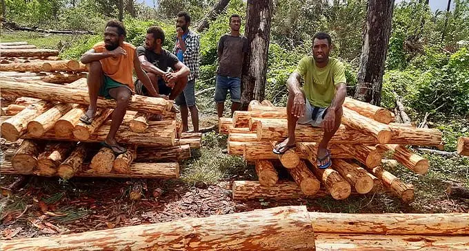 Tropik Wood has put in place aggressive measures to plant trees as far and wide across the country.