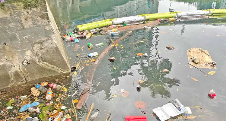 A photograph of rubbish floating at the surface of the Nubukalo Creek, Suva.