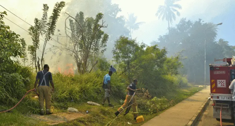 Wild fire along Martintar Road in Nadi. File Photo