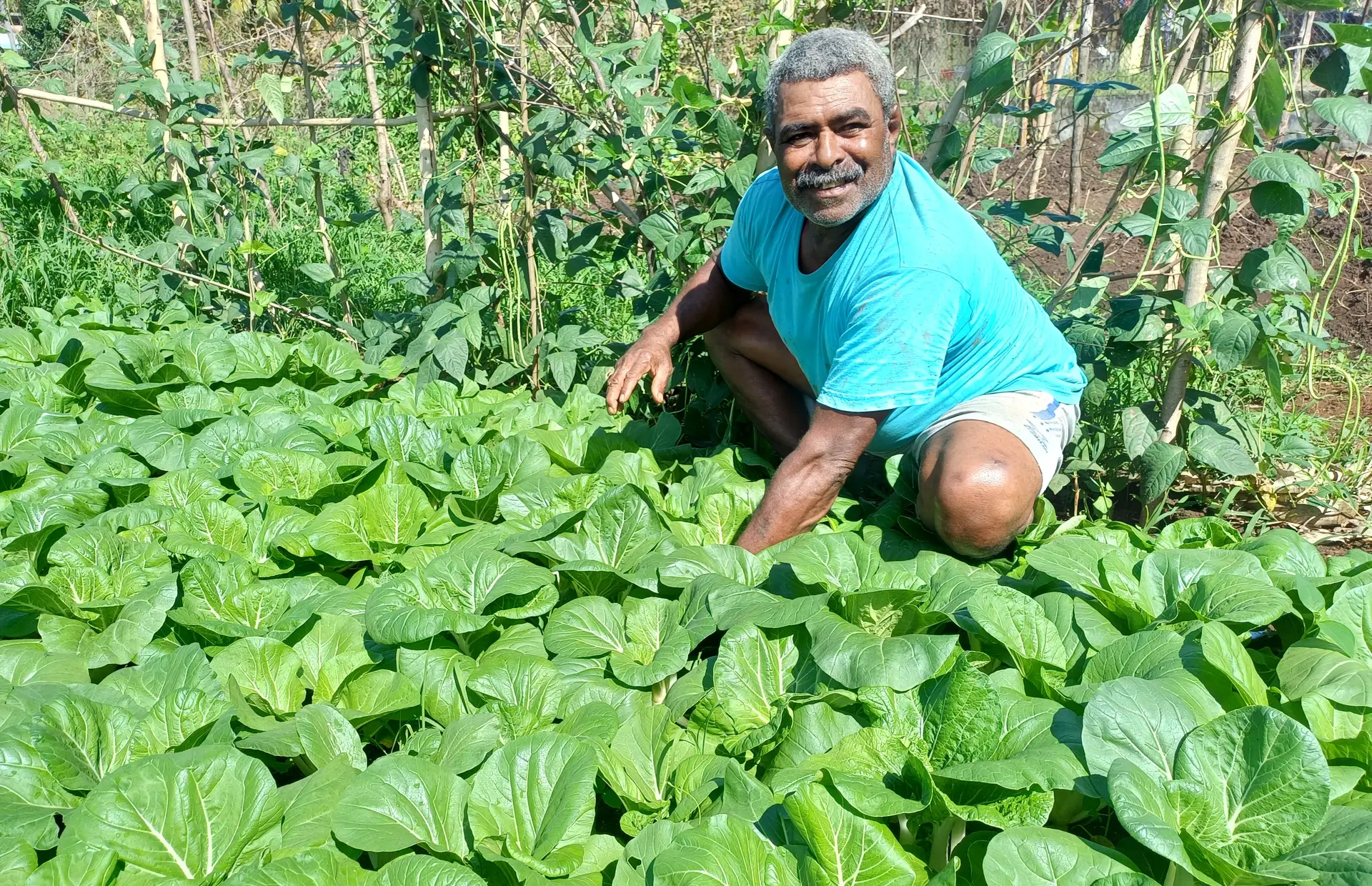 Akeimi Cadramaicake in his farm at Napoidi Settlement in Labasa, on June 18, 2026.