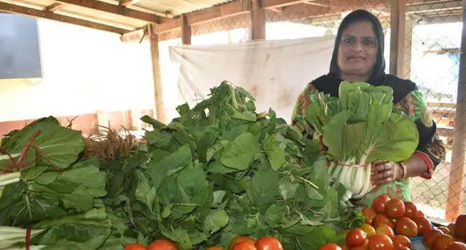 Hamida Bi of Tabucola selling vegetables at Labasa market on September 4, 2018. Photo: Shratika Naidu