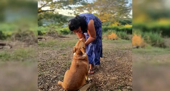 Dogs bring so much joy and so many benefits.