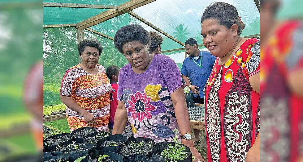 Era vakaraica tiko oqori na lewe ni soqosoqo ni marama mai Naqarani, Noco, Rewa nai tei ni kakana draudrau esa bucini ka solia vakailoloma na Adventist Development Relief Agency (ADRA). 