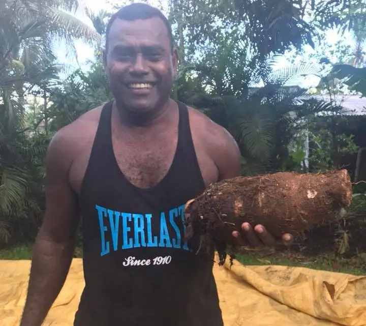 Anasa Tawake shows a dalo harvested from one of his farms.