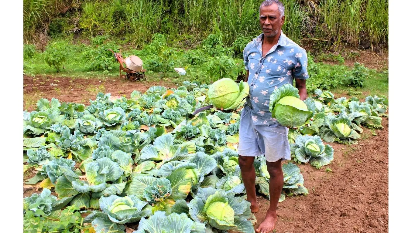 Vegetable farmer, Anand Kumar, on his farm at Korotari in Labasa on September 2, 2026.