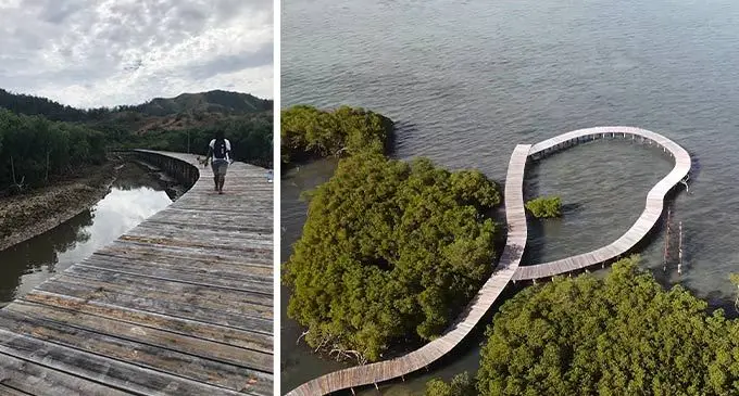 The wooden deck bridge built by Freesoul, which stretches out to sea, amoung thick mangroves. Photo: Kelera Sovasiga-Tuisawau