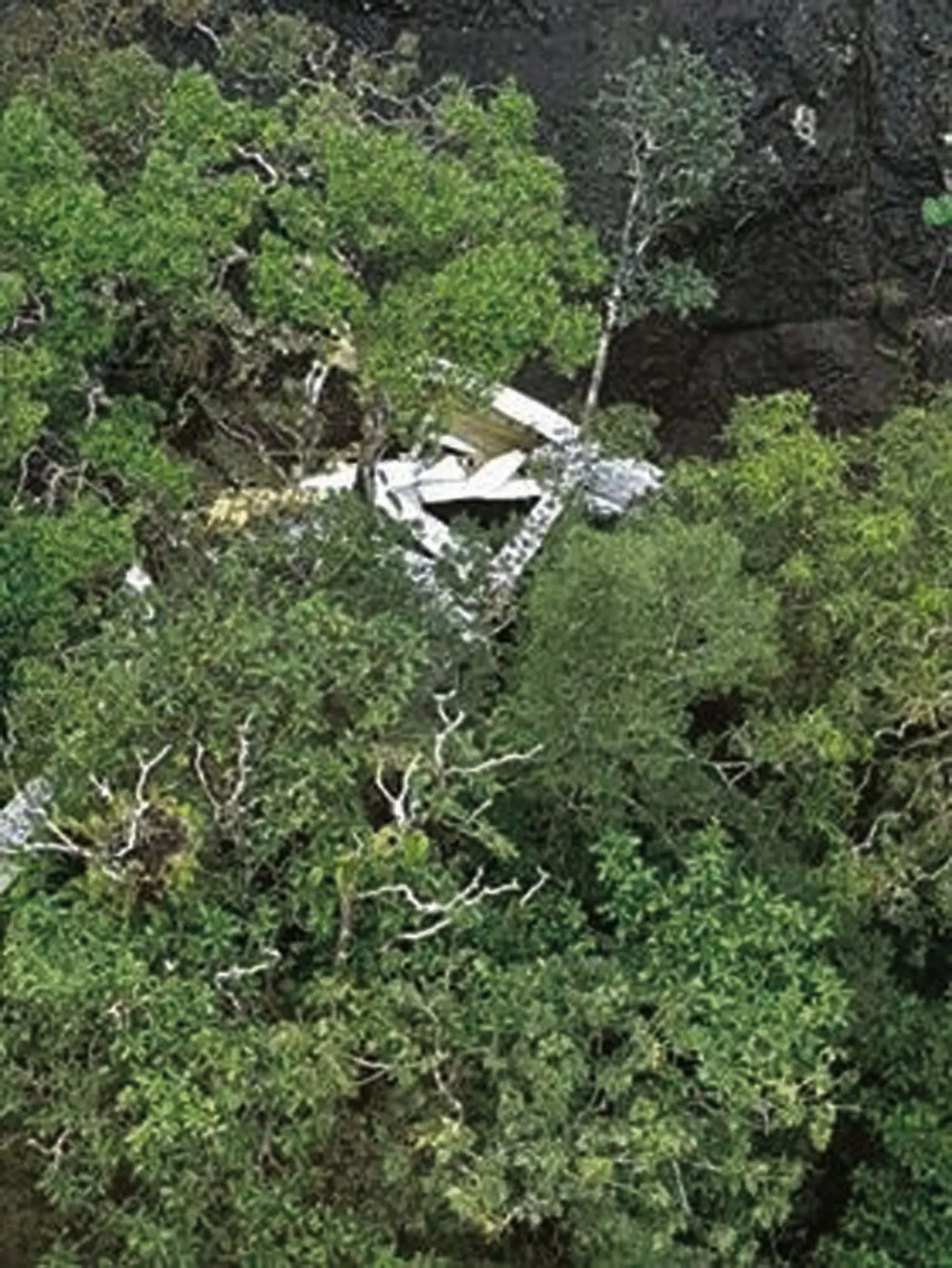  The Cessna 172 crash site in Vanua Levu, which has been confirmed by the Fiji Maritime Surveillance Rescue Co-ordination Centre.  