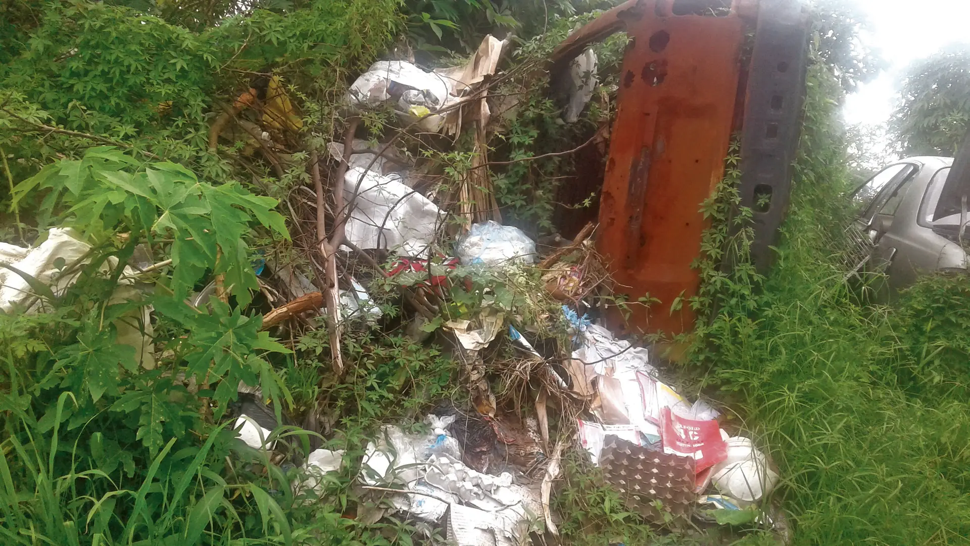 Rubbish at Koroi Place Samabula Gaji Road. Photo: Shirika Shalini