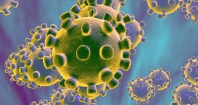 https___cdn.cnn_.com_cnnnext_dam_assets_200108214800-coronavirus-300x169