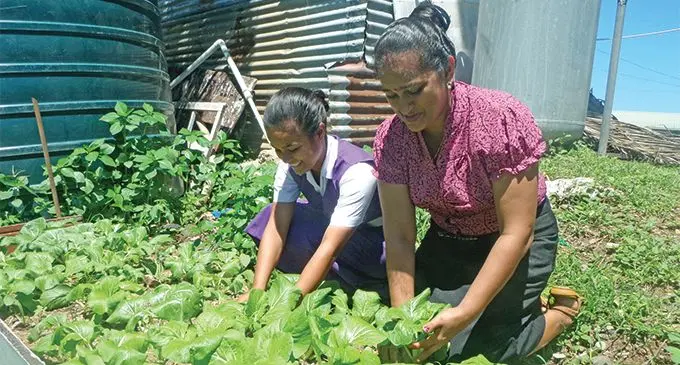 Medeline Hiran Hostel Head Girl for Jasper Williams High School and school Principal Ms Vanita Sharma planting vegetables to support the COP 23 during the season of Lent. Photo: Rohit Kumar
