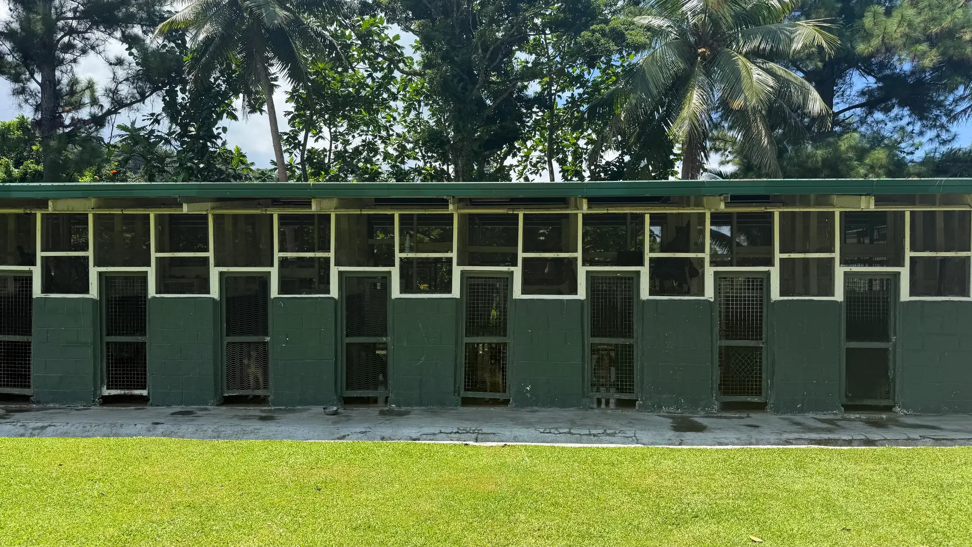 The Canine Unit trains dogs for two roles: Trackers and Sniffers.