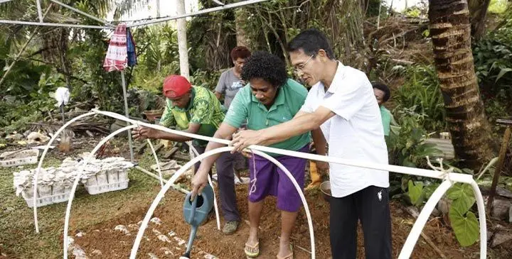 Lin Xingsheng (1st R), team leader of the China-Fiji Junco Technology Demonstration Center helps Fijian people build a greenhouse for mushrooms in Naitasiri, Fiji, September 11, 2024. Photo: Xinhua