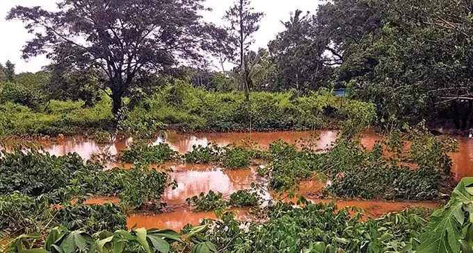 A flooded farm in Vatulaulau, Ba. Photo: Jasmine Nisha