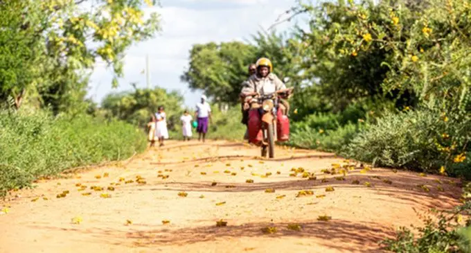 A swarm of desert locusts invade parts of Mwingi Town in Kitui County, Kenya, Feb. 20, 2020. (Xinhua/Zhang Yu) 
