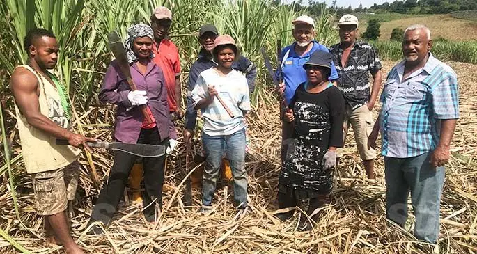 From left: Maca Nailuve, Loata Salele and Esita Vunisa wih fellow cane cutters at a farm in Vitogo Paipai in Lautoka on July 24, 2020. Photo: Charles Chambers