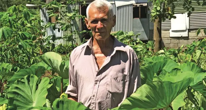 Peter Chong Sue in his small farm at Natabua seaside in Lautoka yesterday. Photo: Avinesh Gopal
