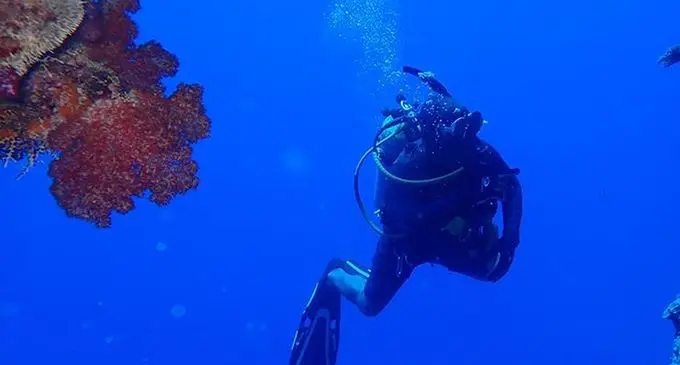 Diving in Lau waters