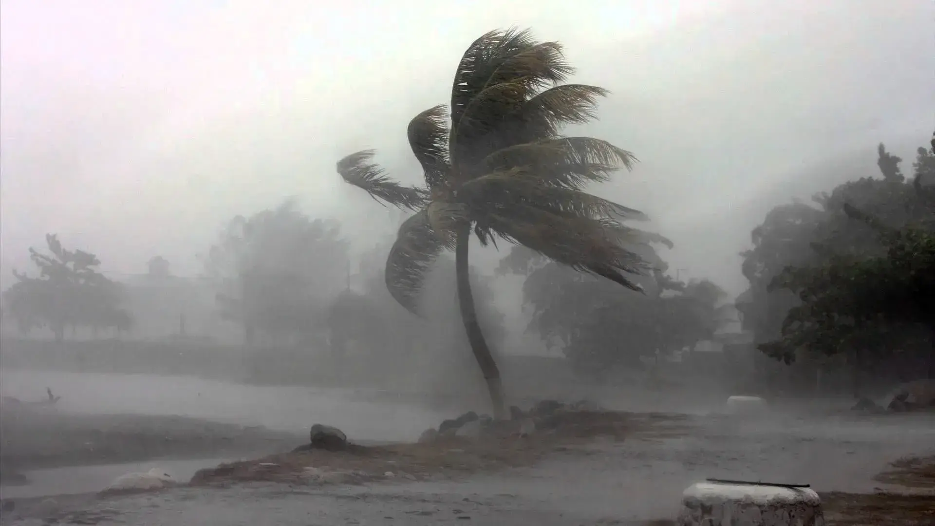 Heavy rain and strong winds forecast across Fiji this week