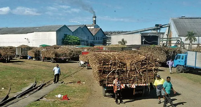 Fiji Sugar Corporation’s Lautoka Mill.  