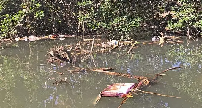 Plastic waste and other materials getting caught among the mangroves up the Bailey Bridge river at Laucala Beach, Suva. Photo: Kelera Sovasiga-Tuisawau