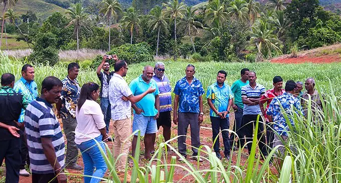 Sugar cane growers in the Daku sector, Labasa during the Sugar Research Institute of Fiji organised Field Information Day on November 10, 2021.