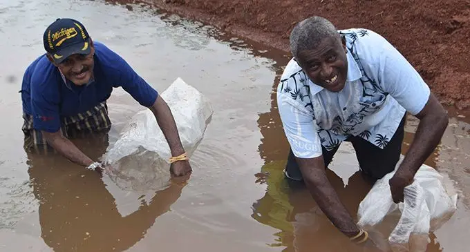 Rupeni Rasigare (right) with Manoa Tuiwainikai releasing baby fish in the fish pond at Naduna, Labasa on February 1, 2019. Photo:Laisa Lui